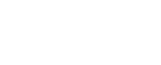 Veltrion Global Capital Logo
